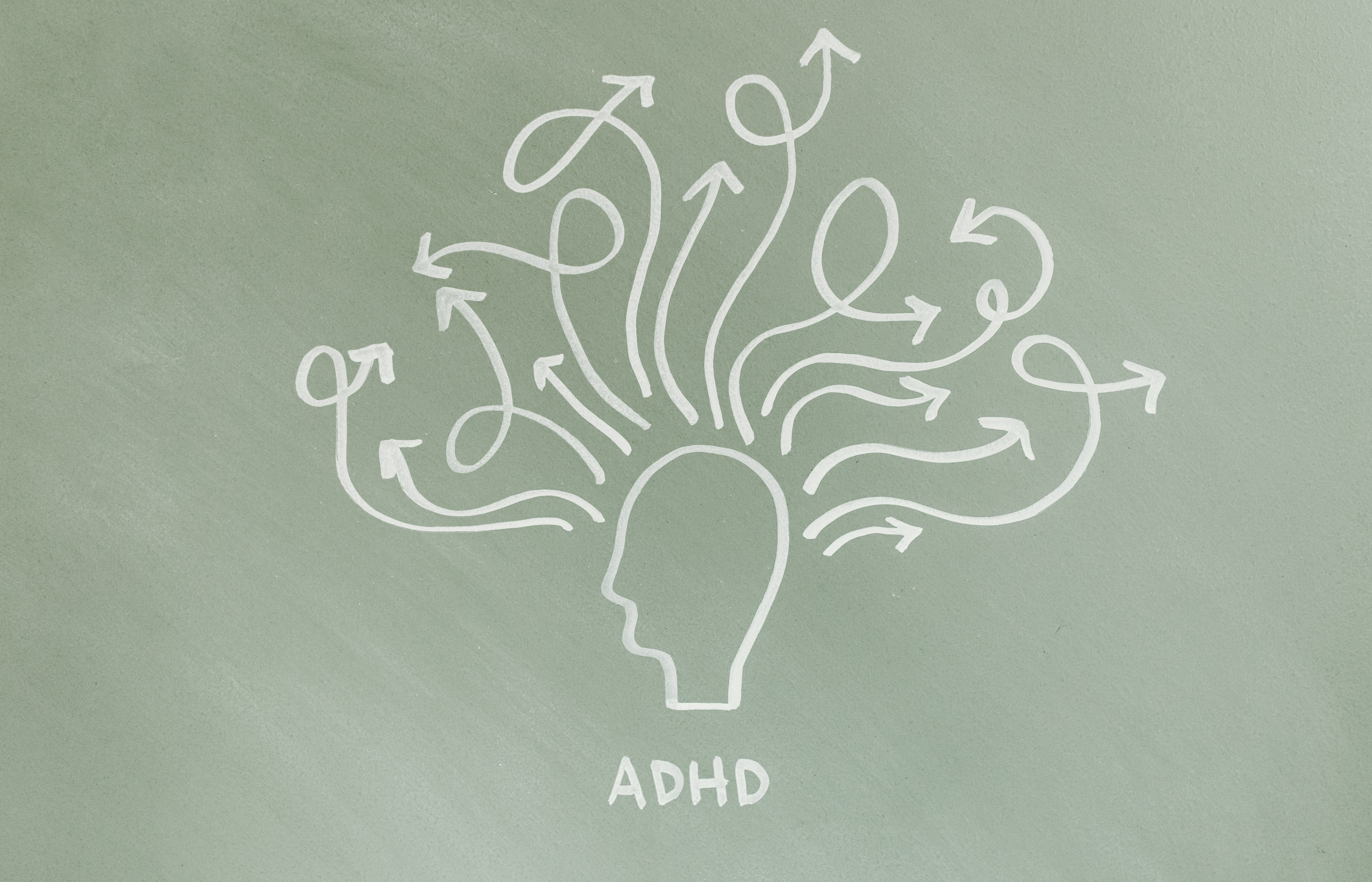 Adult ADHD therapy session with a calm professional